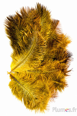 Strauss - 13-18 cm - gelb-grau